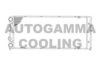 AUTOGAMMA 105481 Radiator, engine cooling